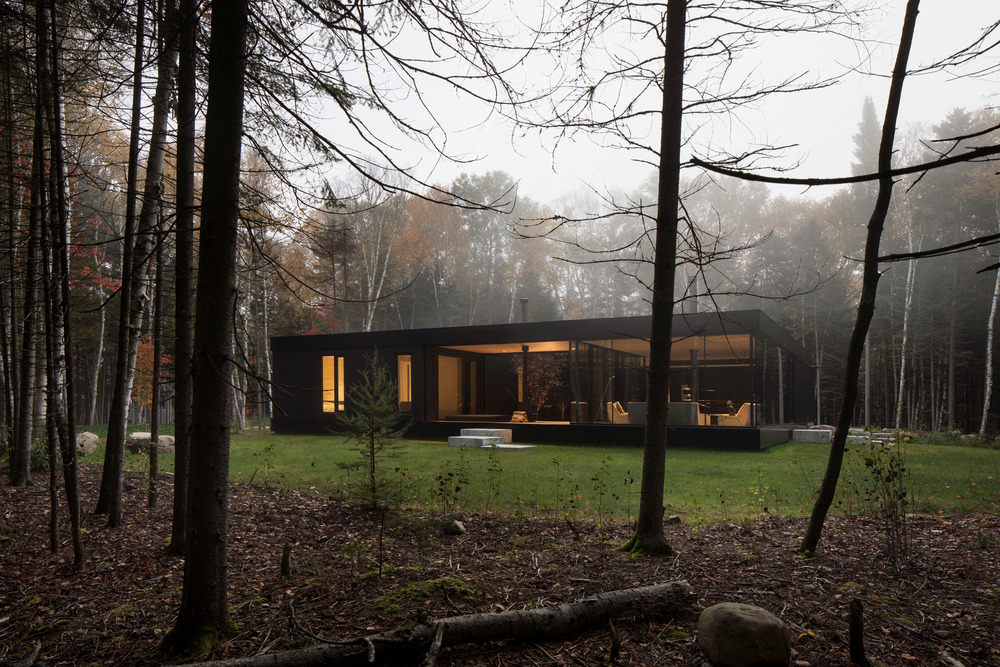 The apple tree house: A modernist glass residence embracing nature at its core